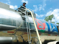 Ganado Leche5
